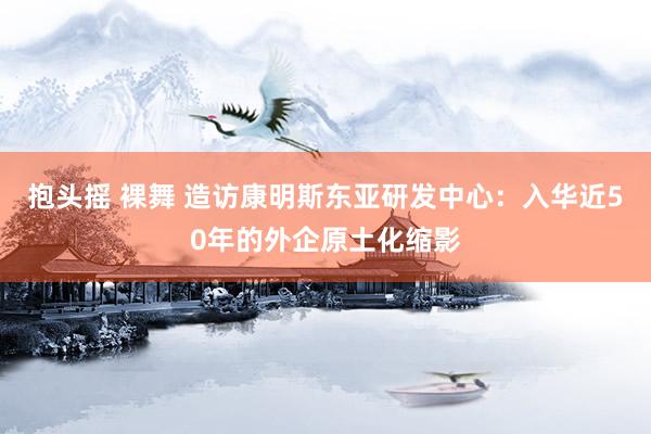 抱头摇 裸舞 造访康明斯东亚研发中心：入华近50年的外企原土化缩影