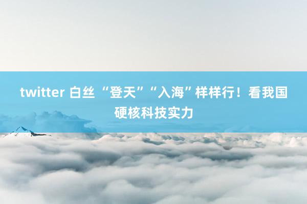 twitter 白丝 “登天”“入海”样样行！看我国硬核科技实力