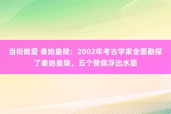 当街做爱 秦始皇陵：2002年考古学家全面勘探了秦始皇陵，五个赞佩浮出水面