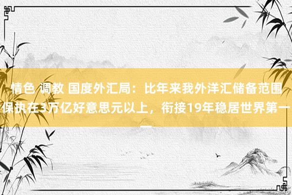 情色 调教 国度外汇局：比年来我外洋汇储备范围保执在3万亿好意思元以上，衔接19年稳居世界第一