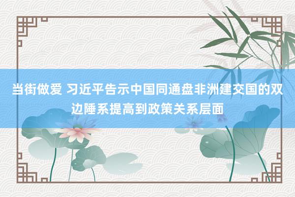 当街做爱 习近平告示中国同通盘非洲建交国的双边陲系提高到政策关系层面