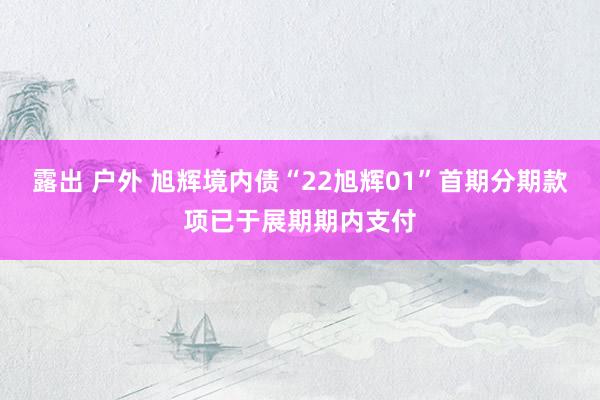 露出 户外 旭辉境内债“22旭辉01”首期分期款项已于展期期内支付