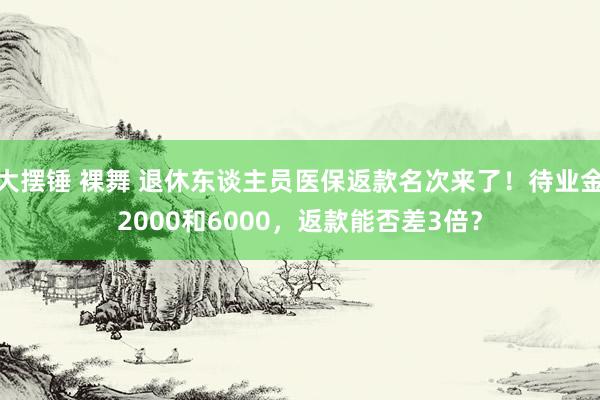 大摆锤 裸舞 退休东谈主员医保返款名次来了！待业金2000和6000，返款能否差3倍？