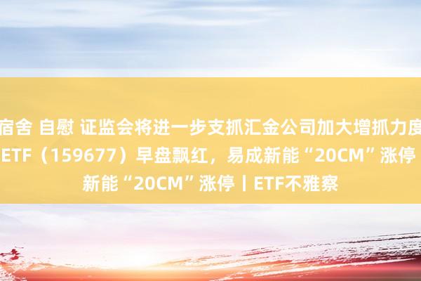 宿舍 自慰 证监会将进一步支抓汇金公司加大增抓力度，1000增强ETF（159677）早盘飘红，易成新能“20CM”涨停丨ETF不雅察