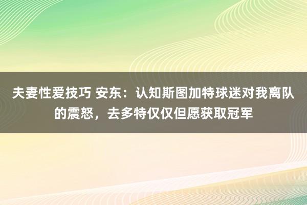 夫妻性爱技巧 安东：认知斯图加特球迷对我离队的震怒，去多特仅仅但愿获取冠军