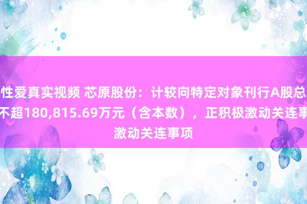 性爱真实视频 芯原股份：计较向特定对象刊行A股总数不超180，815.69万元（含本数），正积极激动关连事项