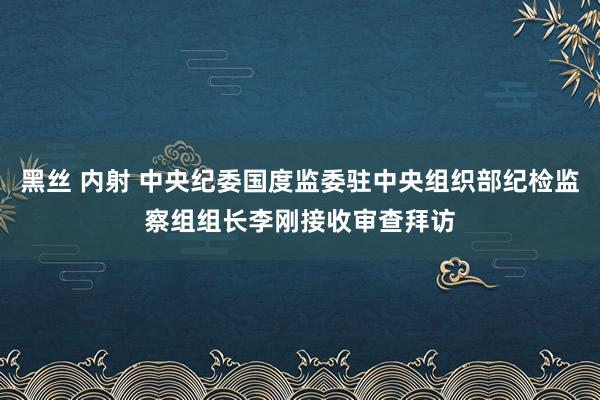 黑丝 内射 中央纪委国度监委驻中央组织部纪检监察组组长李刚接收审查拜访