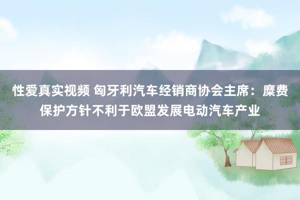 性爱真实视频 匈牙利汽车经销商协会主席：糜费保护方针不利于欧盟发展电动汽车产业