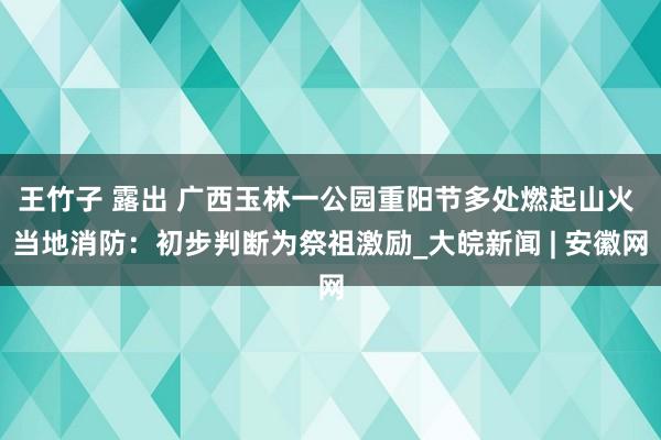 王竹子 露出 广西玉林一公园重阳节多处燃起山火 当地消防：初步判断为祭祖激励_大皖新闻 | 安徽网