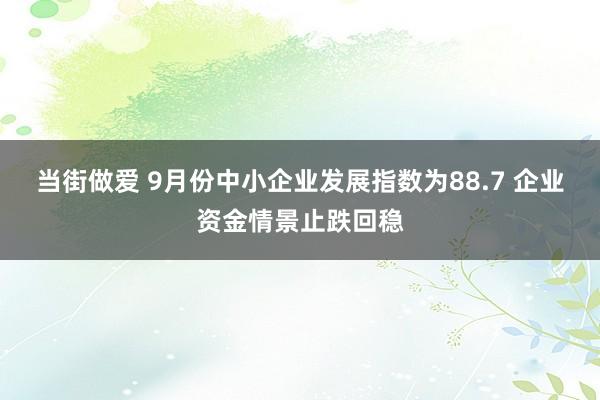 当街做爱 9月份中小企业发展指数为88.7 企业资金情景止跌回稳