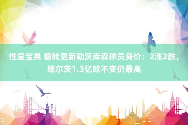 性爱宝典 德转更新勒沃库森球员身价：2涨2跌，维尔茨1.3亿欧不变仍最高