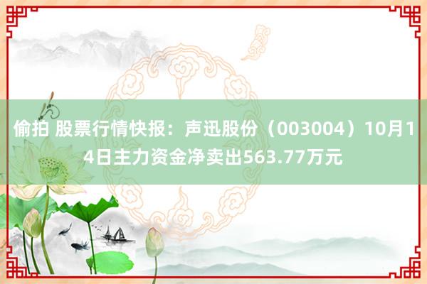 偷拍 股票行情快报：声迅股份（003004）10月14日主力资金净卖出563.77万元