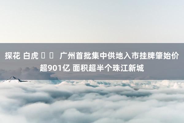 探花 白虎 		 广州首批集中供地入市挂牌肇始价超901亿 面积超半个珠江新城