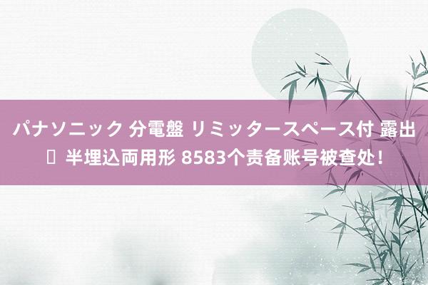 パナソニック 分電盤 リミッタースペース付 露出・半埋込両用形 8583个责备账号被查处！