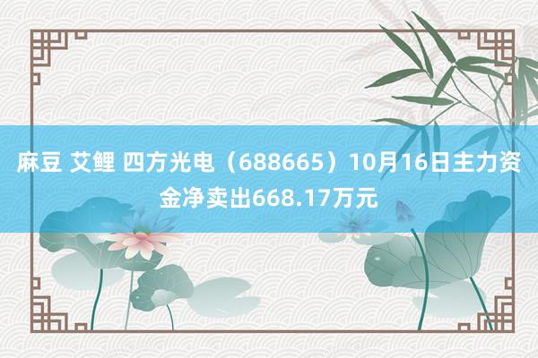 麻豆 艾鲤 四方光电（688665）10月16日主力资金净卖出668.17万元