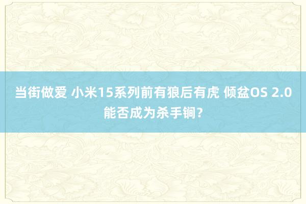 当街做爱 小米15系列前有狼后有虎 倾盆OS 2.0能否成为杀手锏？