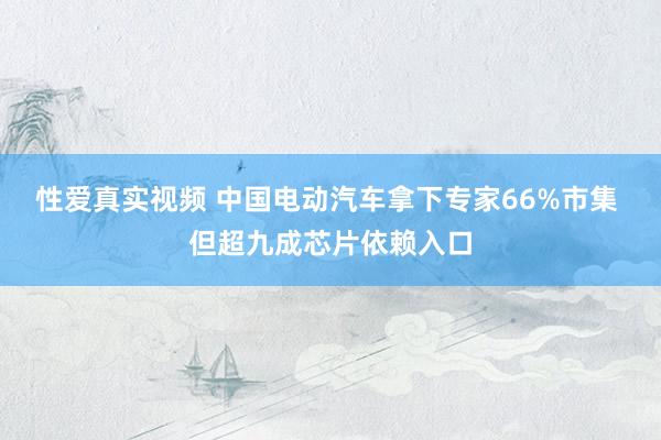 性爱真实视频 中国电动汽车拿下专家66%市集 但超九成芯片依赖入口