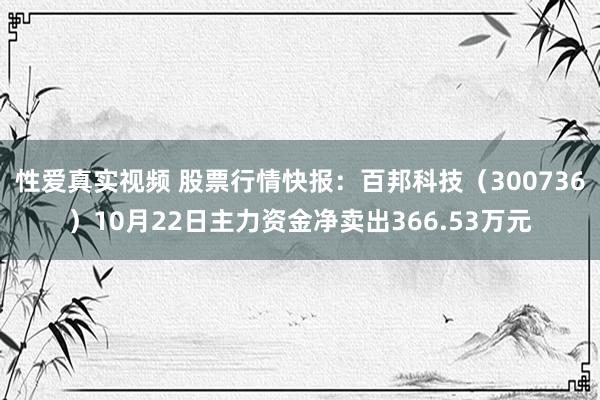 性爱真实视频 股票行情快报：百邦科技（300736）10月22日主力资金净卖出366.53万元