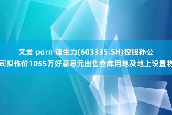 文爱 porn 迪生力(603335.SH)控股孙公司拟作价1055万好意思元出售仓库用地及地上设置物