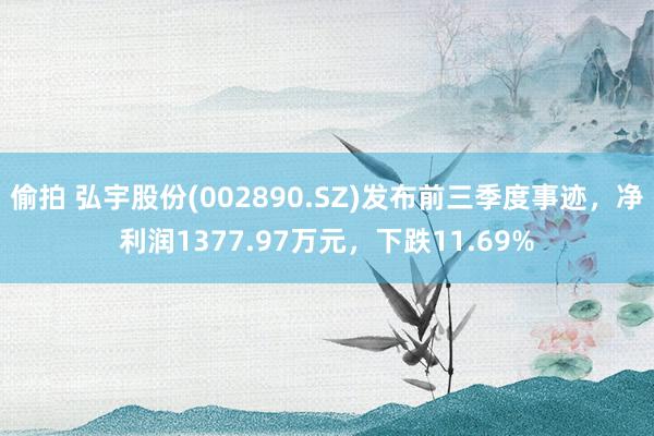 偷拍 弘宇股份(002890.SZ)发布前三季度事迹，净利润1377.97万元，下跌11.69%