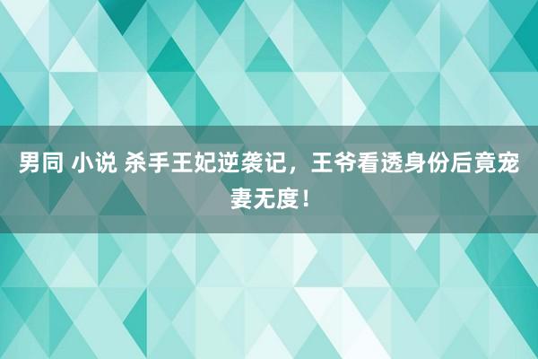 男同 小说 杀手王妃逆袭记，王爷看透身份后竟宠妻无度！