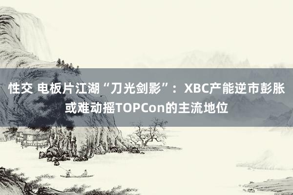 性交 电板片江湖“刀光剑影”：XBC产能逆市彭胀或难动摇TOPCon的主流地位