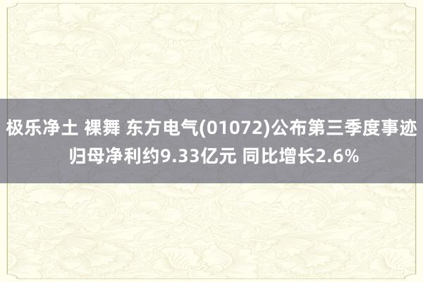 极乐净土 裸舞 东方电气(01072)公布第三季度事迹 归母净利约9.33亿元 同比增长2.6%