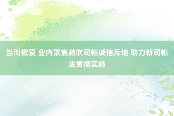 当街做爱 业内聚焦鼓吹司帐诚信斥地 助力新司帐法贯彻实施