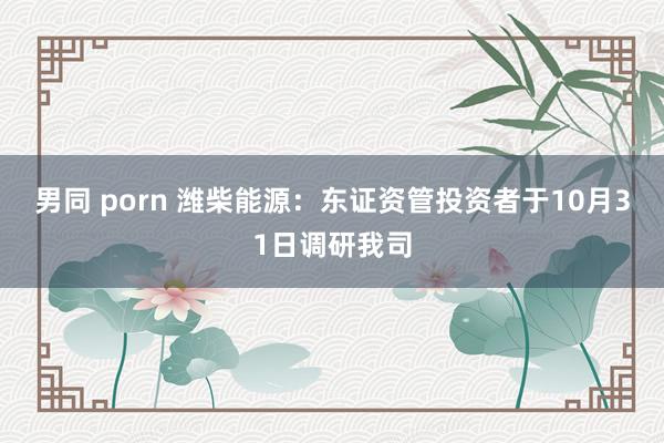 男同 porn 潍柴能源：东证资管投资者于10月31日调研我司