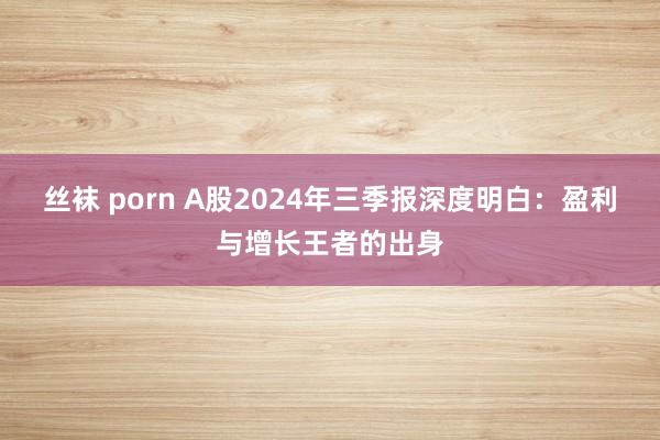 丝袜 porn A股2024年三季报深度明白：盈利与增长王者的出身