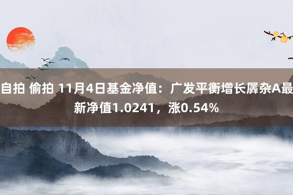 自拍 偷拍 11月4日基金净值：广发平衡增长羼杂A最新净值1.0241，涨0.54%