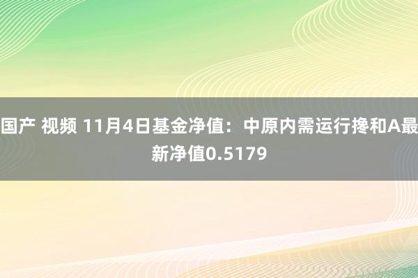 国产 视频 11月4日基金净值：中原内需运行搀和A最新净值0.5179