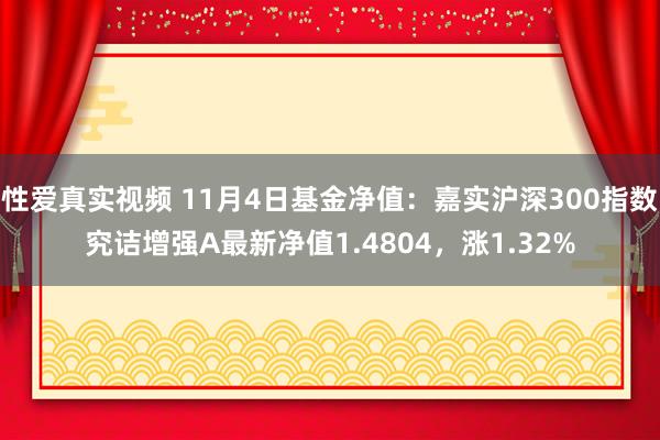 性爱真实视频 11月4日基金净值：嘉实沪深300指数究诘增强A最新净值1.4804，涨1.32%