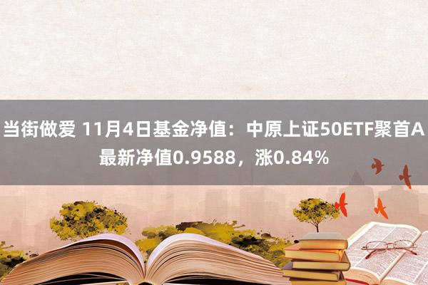 当街做爱 11月4日基金净值：中原上证50ETF聚首A最新净值0.9588，涨0.84%