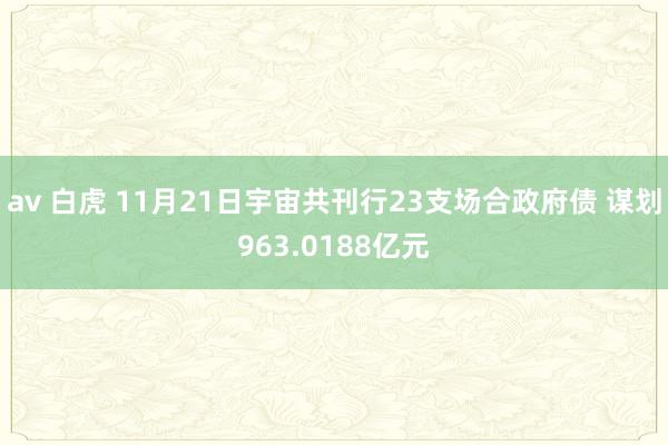 av 白虎 11月21日宇宙共刊行23支场合政府债 谋划963.0188亿元