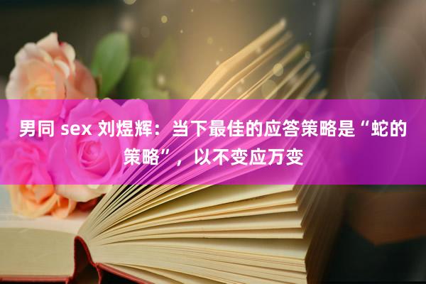 男同 sex 刘煜辉：当下最佳的应答策略是“蛇的策略”，以不变应万变