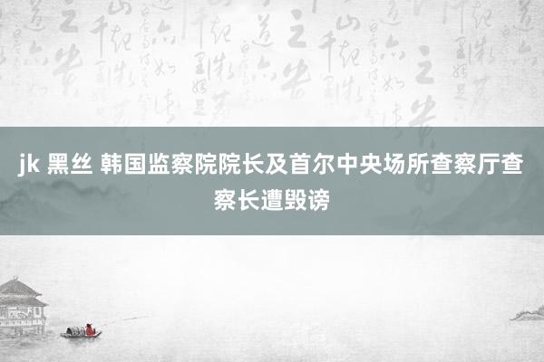 jk 黑丝 韩国监察院院长及首尔中央场所查察厅查察长遭毁谤