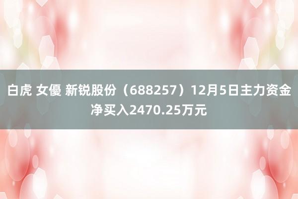 白虎 女優 新锐股份（688257）12月5日主力资金净买入2470.25万元