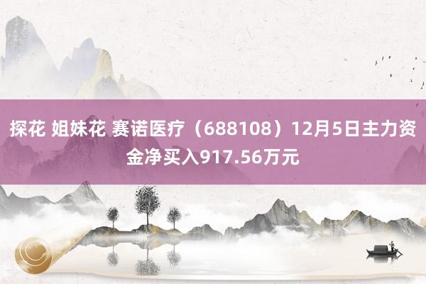 探花 姐妹花 赛诺医疗（688108）12月5日主力资金净买入917.56万元