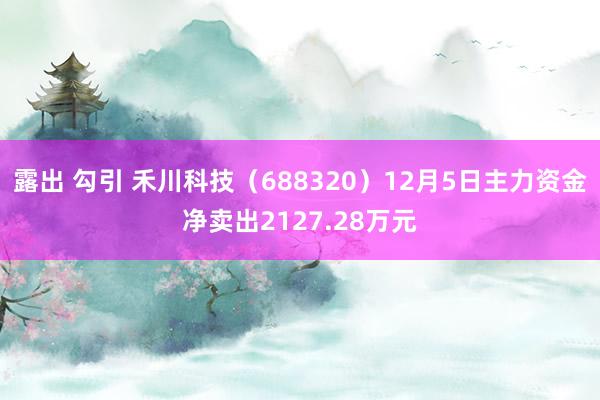 露出 勾引 禾川科技（688320）12月5日主力资金净卖出2127.28万元