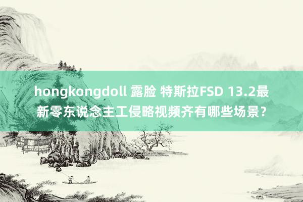 hongkongdoll 露脸 特斯拉FSD 13.2最新零东说念主工侵略视频齐有哪些场景？