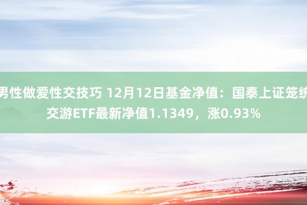 男性做爱性交技巧 12月12日基金净值：国泰上证笼统交游ETF最新净值1.1349，涨0.93%