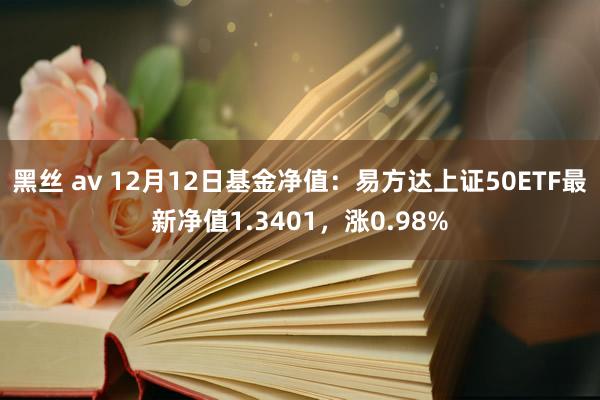 黑丝 av 12月12日基金净值：易方达上证50ETF最新净值1.3401，涨0.98%