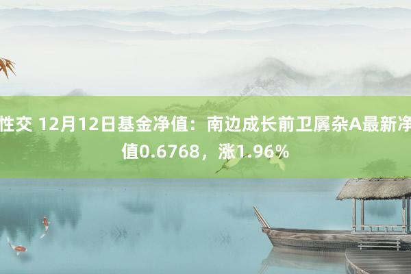 性交 12月12日基金净值：南边成长前卫羼杂A最新净值0.6768，涨1.96%