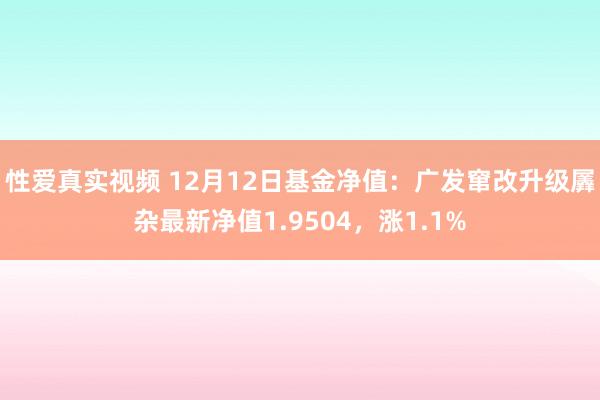 性爱真实视频 12月12日基金净值：广发窜改升级羼杂最新净值1.9504，涨1.1%