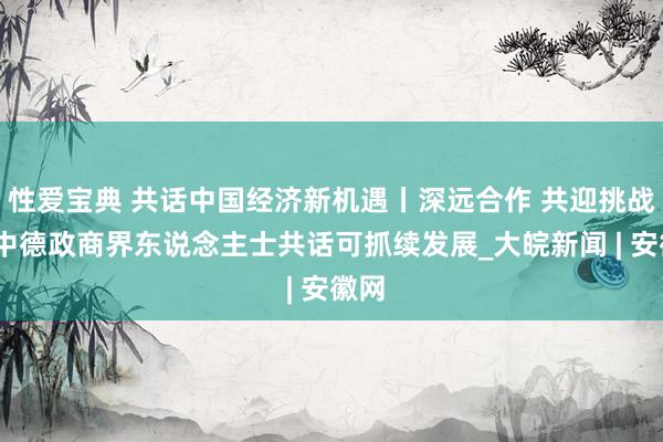 性爱宝典 共话中国经济新机遇丨深远合作 共迎挑战——中德政商界东说念主士共话可抓续发展_大皖新闻 | 安徽网