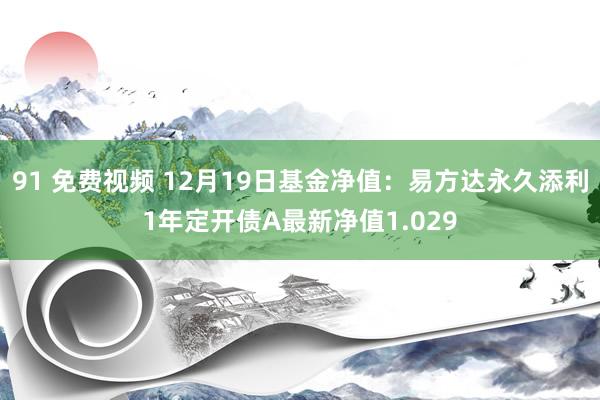 91 免费视频 12月19日基金净值：易方达永久添利1年定开债A最新净值1.029