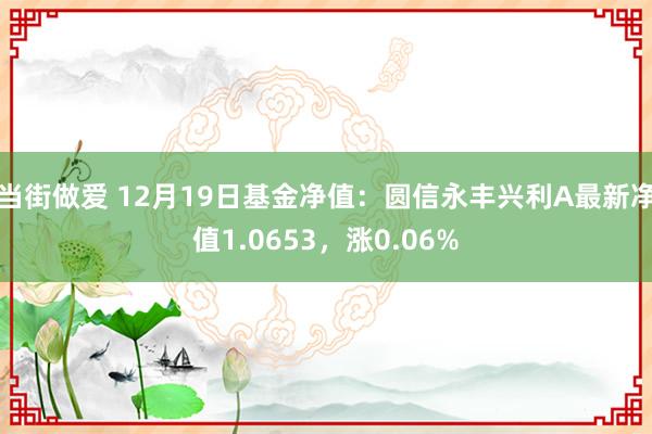 当街做爱 12月19日基金净值：圆信永丰兴利A最新净值1.0653，涨0.06%