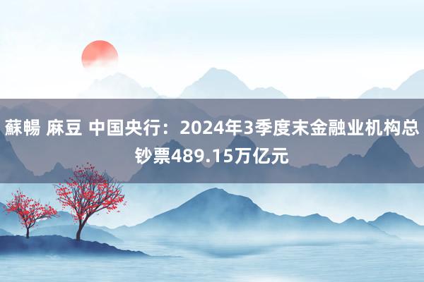 蘇暢 麻豆 中国央行：2024年3季度末金融业机构总钞票489.15万亿元