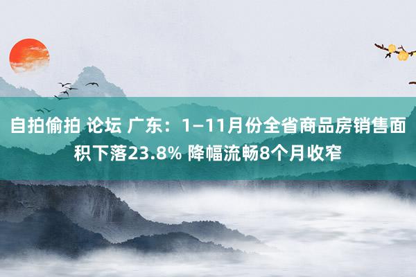 自拍偷拍 论坛 广东：1—11月份全省商品房销售面积下落23.8% 降幅流畅8个月收窄